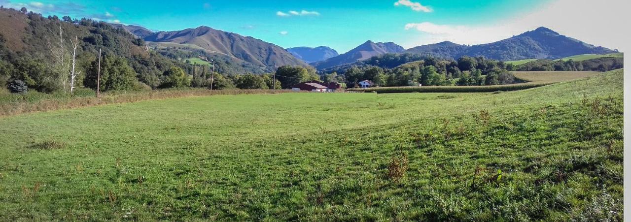 Gite Individuel Au Pays Basque A 1,5Km De St-Jean-Pied-De-Port Saint-Jean-Pied-de-Port Exterior foto