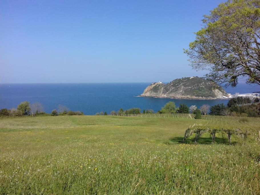 Gite Individuel Au Pays Basque A 1,5Km De St-Jean-Pied-De-Port Saint-Jean-Pied-de-Port Exterior foto